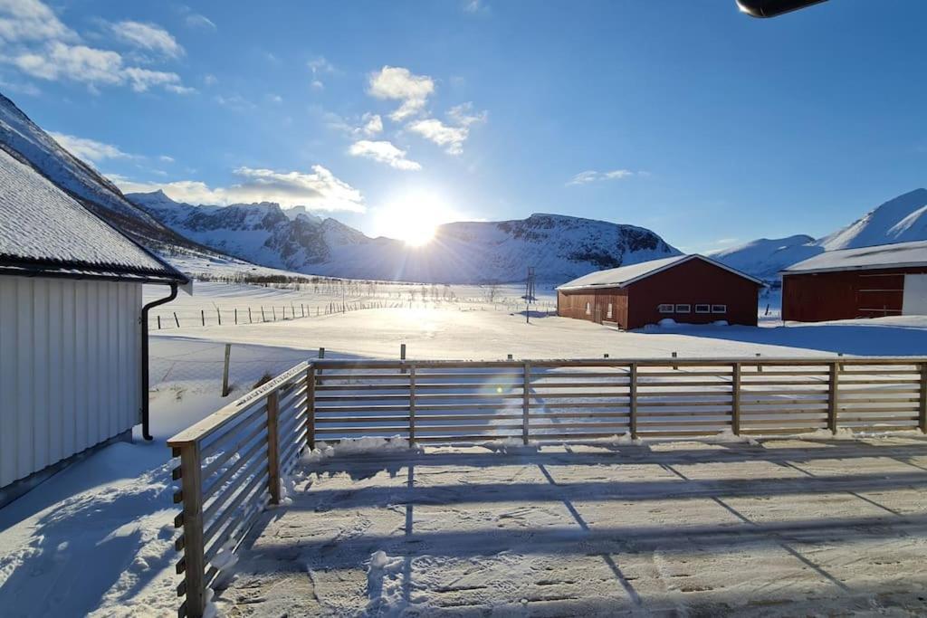 Arctic Lodge Tromvik With Jacuzzi Tromsø Eksteriør billede
